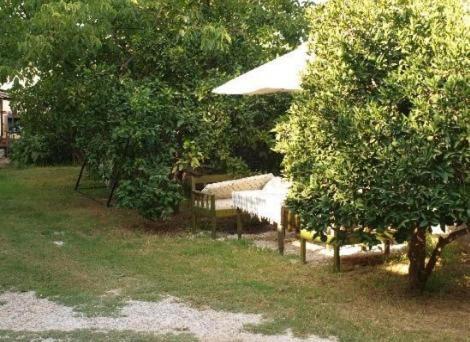 Akay Hotel Patara Exterior photo